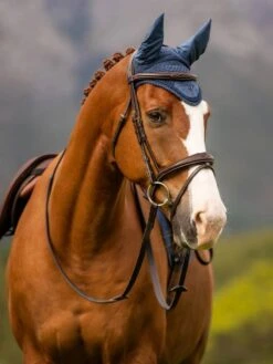 LeMieux Classic Fly Hood 12 LeMieux Classic Fly Hood -Equestrian Equipment Store tracyrobertson aw23 44 copy