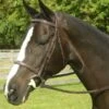Red Barn Sovereign Bridle -Equestrian Equipment Store yhst 130090801024353 2272 66122448