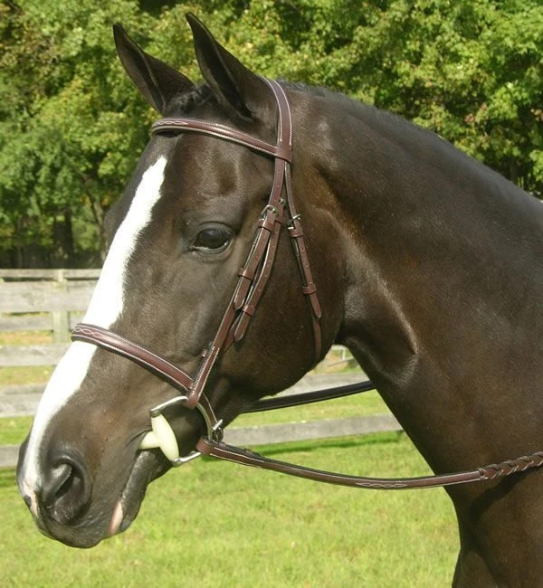 Red Barn Sovereign Bridle 3 Red Barn Sovereign Bridle