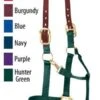 Weaver Breakaway Halter 1 Weaver Breakaway Halter -Equestrian Equipment Store yhst 130090801024353 2272 76733276